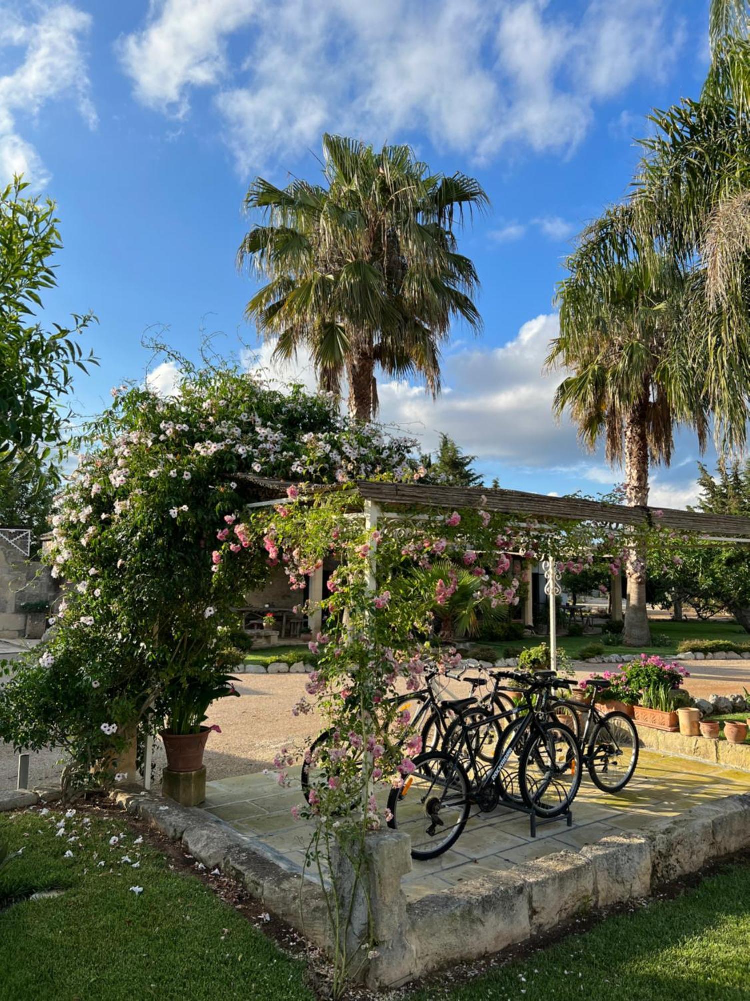 Masseria Casina Montana Corigliano dʼOtranto Εξωτερικό φωτογραφία