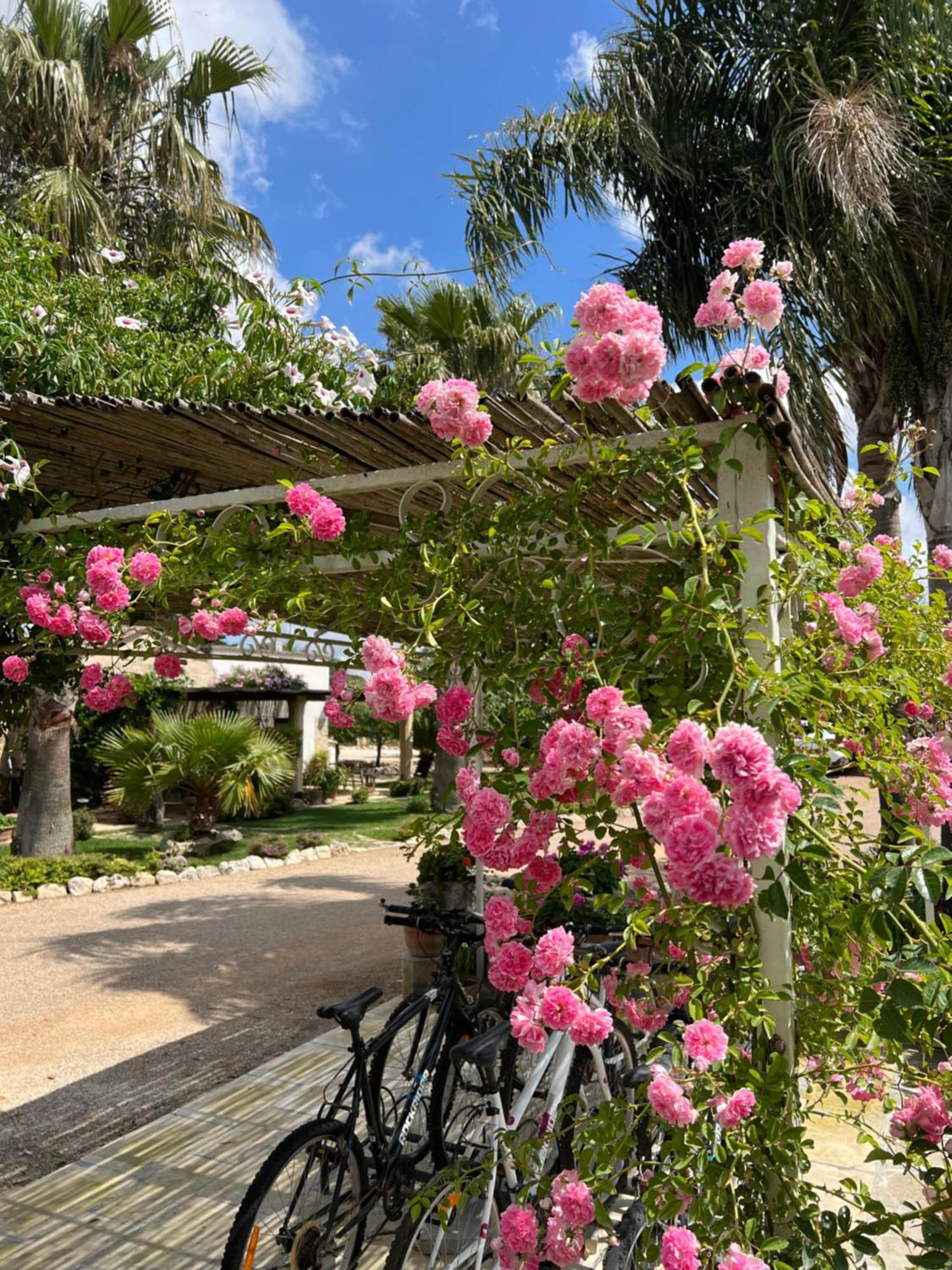 Masseria Casina Montana Corigliano dʼOtranto Εξωτερικό φωτογραφία