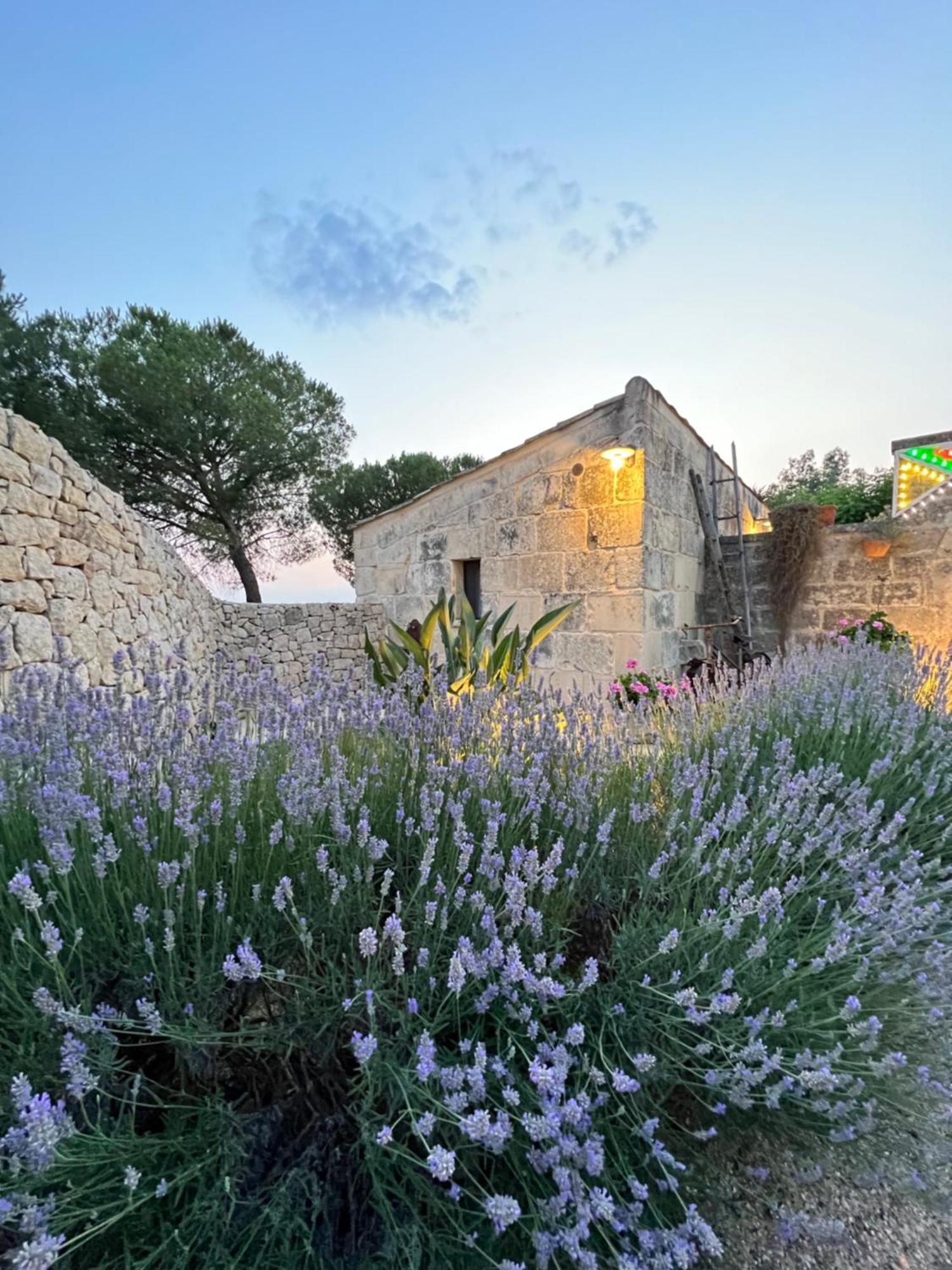 Masseria Casina Montana Corigliano dʼOtranto Εξωτερικό φωτογραφία
