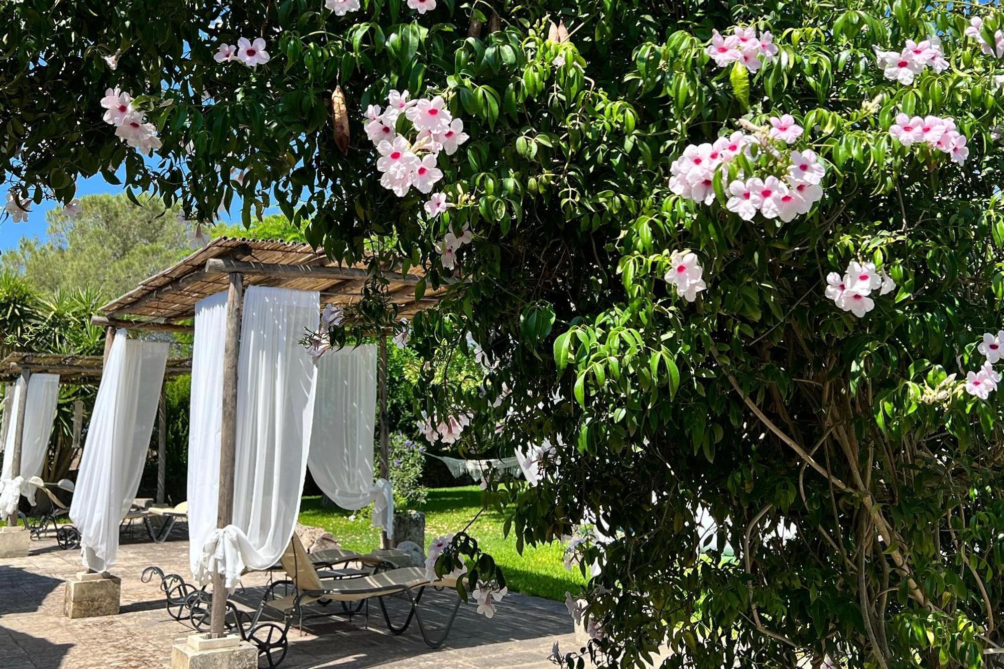 Masseria Casina Montana Corigliano dʼOtranto Εξωτερικό φωτογραφία